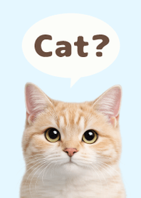 Gato Simples 2 Blue 04