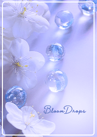 大人お洒落な桜