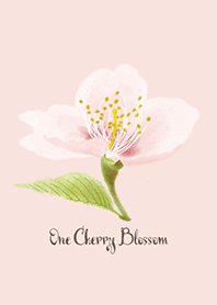 One Cherry Blossom