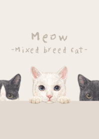 Meow - Mixed breed cat 02 - WHITE/BROWN