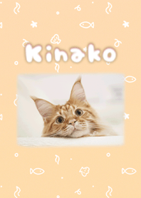真正的 Kinako 背景屏幕 (OsakanaNeko)