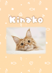 リアルきなこ着せかえ（おさかなねこ）