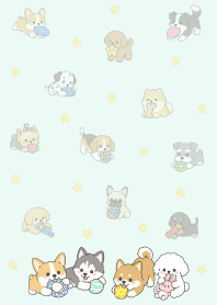 สุนัขไม่เหนื่อยจากการเล่น_สีขาว4