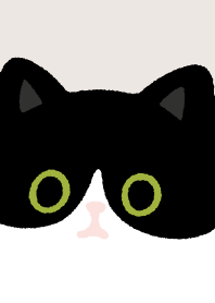 Tuxedo cat and Black cat/