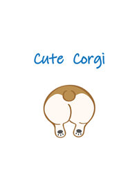 Super cute corgi dog butt
