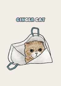 gingercat7 / beige