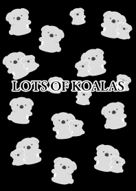 LOTS OF KOALASj-BLACK