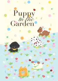 Puppy in the garden