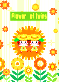 Flower of twins