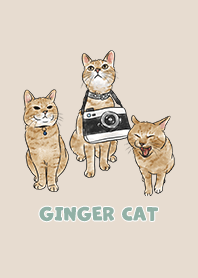 gingercat2 / almond