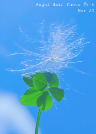 Angel Hair Photo#8-6Not AI