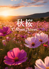 "Cosmos flower vol.4" theme