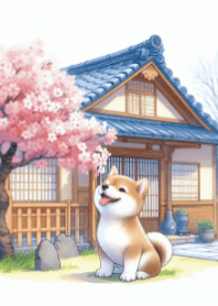 柴犬と桜 V.5