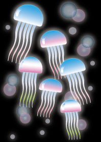 Cool jellyfish Theme