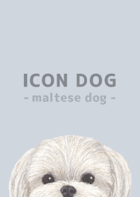 ICON DOG - Maltese dog - PASTEL BL/02