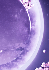 月光夜桜#DD020。
