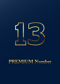PREMIUM Number 13