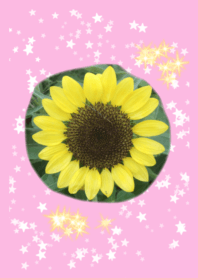 !!sunflower smile !!pink