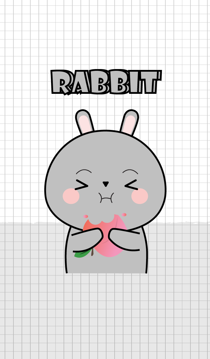 Minamal Grey Rabbit 2