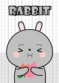 Minamal Grey Rabbit 2
