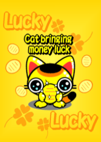 Cat bringing money luck