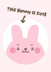 This Bunny is Cute
