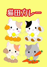 Cat rice field curry