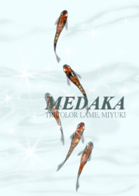 Medaka shining in three colors