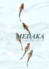 Medaka bersinar dalam tiga warna