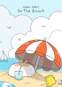 Chubby Rabbit-On the beach