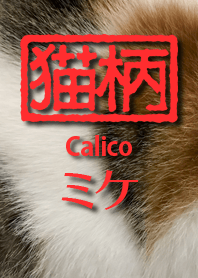 猫柄 『ミケ』