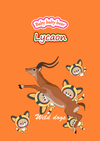 Baby baby bear " Lycaon "