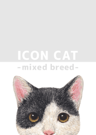 ICON CAT - Mixed breed cat - GRAY/11
