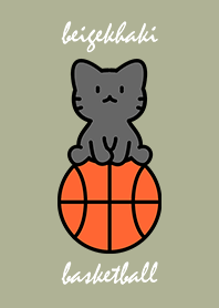 black cat sitting on a basketball KB A