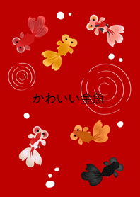 我養的泡泡眼金魚(紅色)