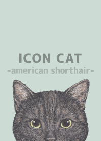 ICON CAT-American Shorthair-PASTEL GR/03