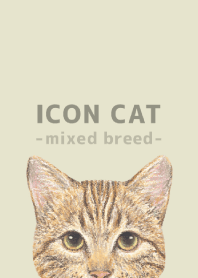 ICON CAT -Mixed breed cat- PASTEL YE/15