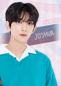 SEVENTEEN 着せかえ2 JOSHUA ジョシュア