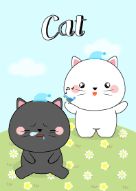 แมวขาว & แมวดำน่ารัก