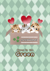 ニャンズ in the green