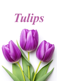 "Tulips vol.30" theme