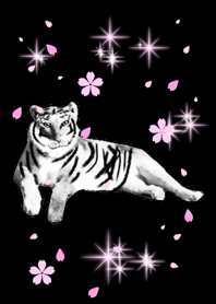 Sakura Tiger BLACK