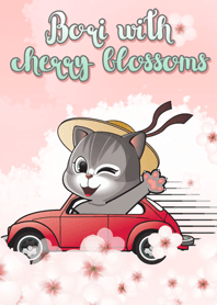 Bori with cherry blossoms