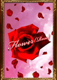 Flower Rose
