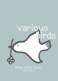 POU DOU DOU various birds 2019