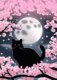 cherry blossoms moon and black cat