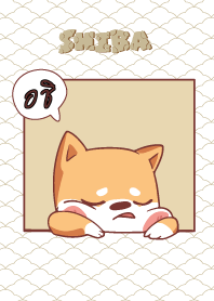 อชิ ใครไม่บะ ชิบะ 4 V12