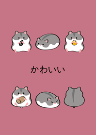 我養的小倉鼠(玫瑰霧粉)