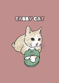 creamtabby1 - pale pink