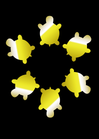 The tortoise circle of money luck